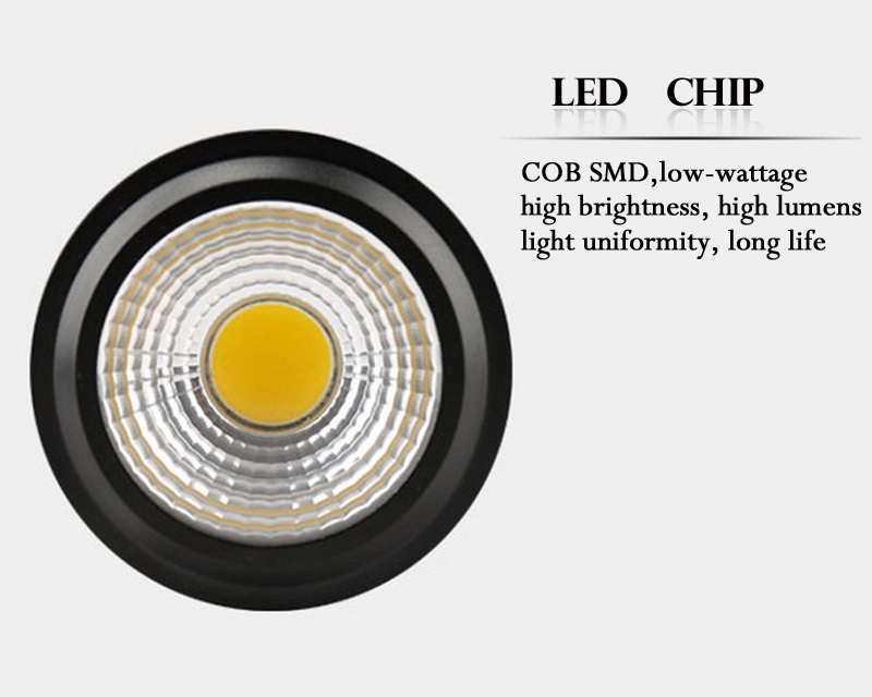COB 30W LED Downlight Light Llights 85~265V with Black Cover