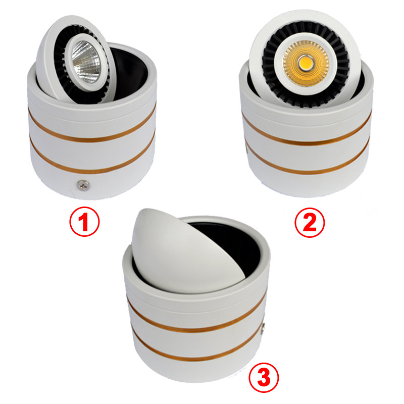360 degree rotatable Surface mounted COB 5W LED Downlight Light