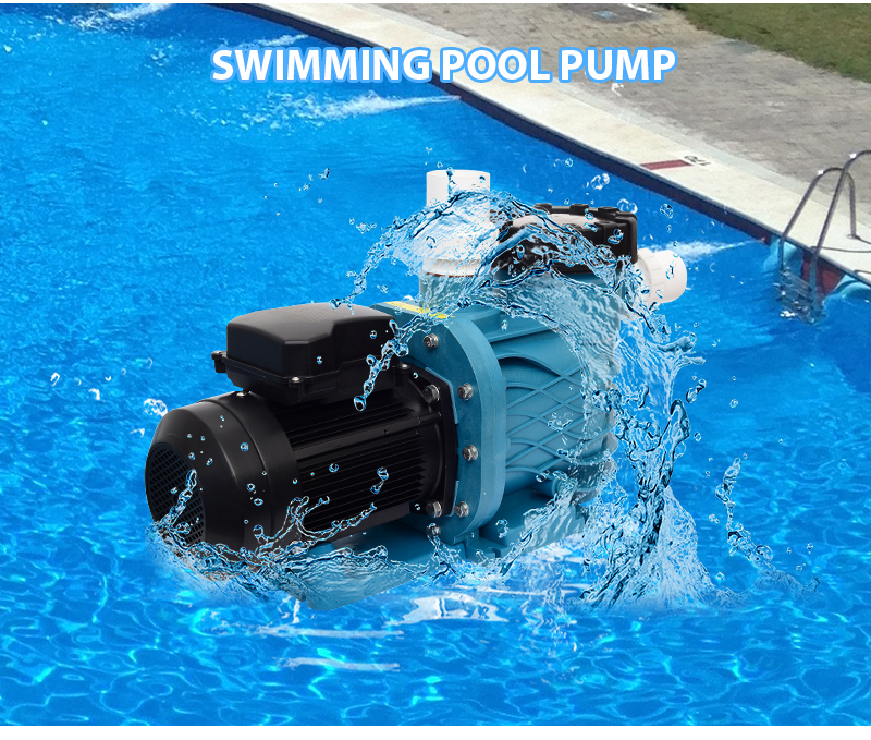 Baobiao 1HP 2HP 3HP 220V 1pcs Custom Logo Water Swimming Pool Pump Circulation Motor Variable Speed Replacement For Hayward