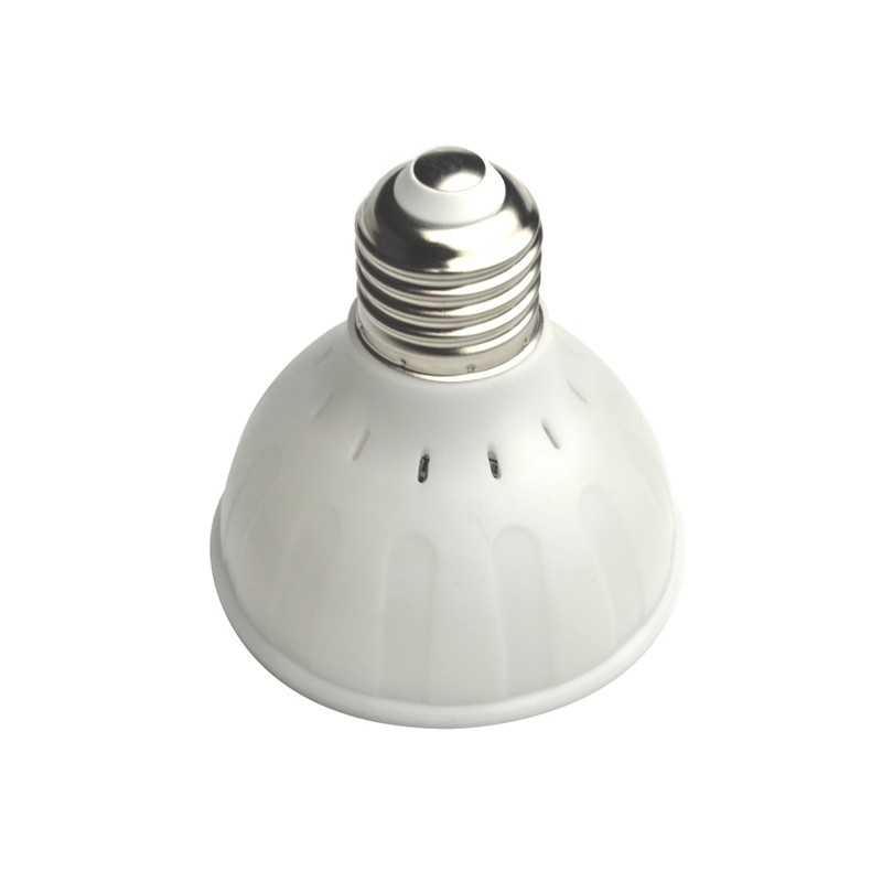 6W 9W 12W RGB Color Changing AC/DC 12V 24V Par25 LED Pool Spa Light