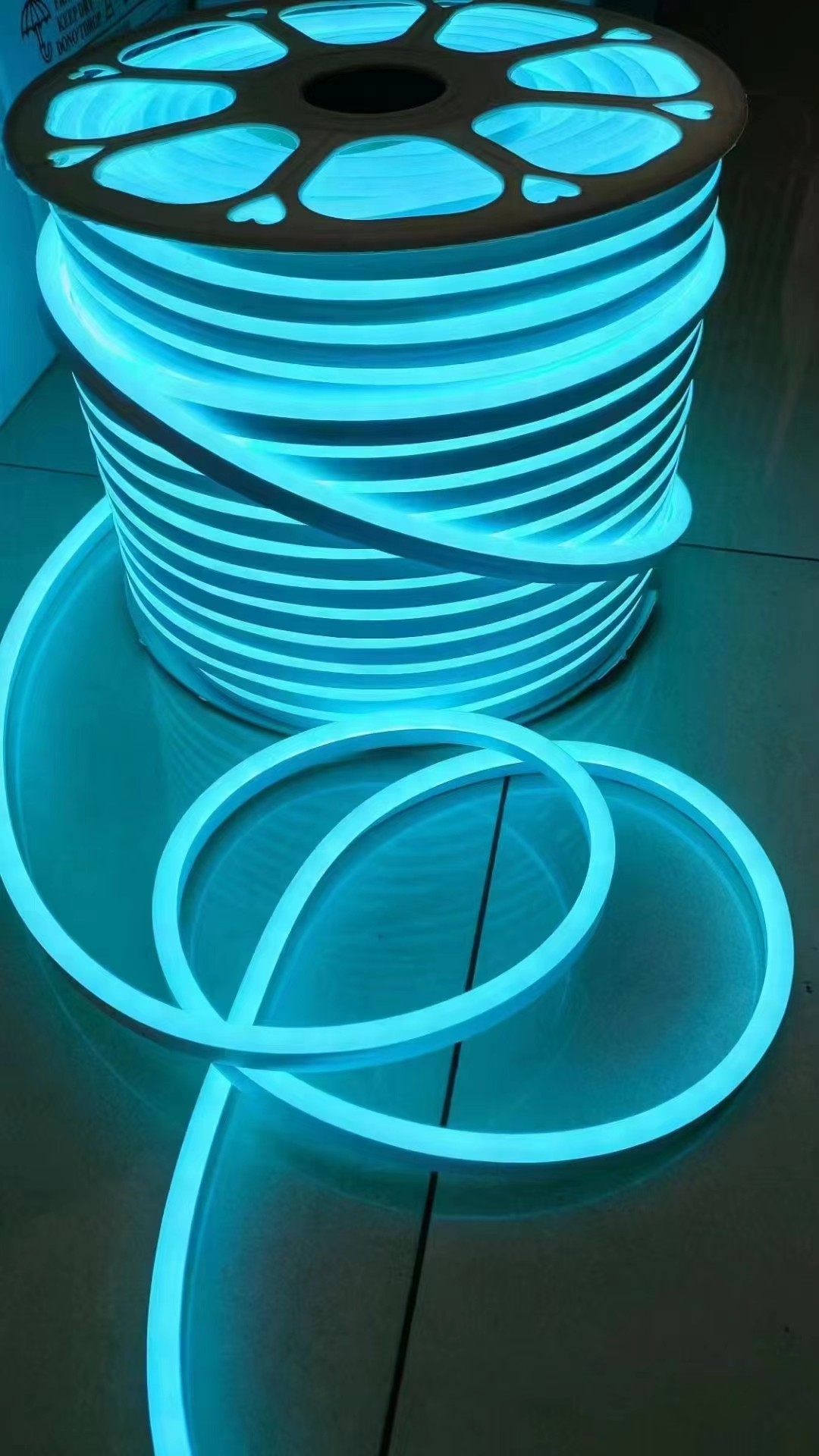 High brightness LED Neon Rope Light LED Neon Light Outdoor Indoor 