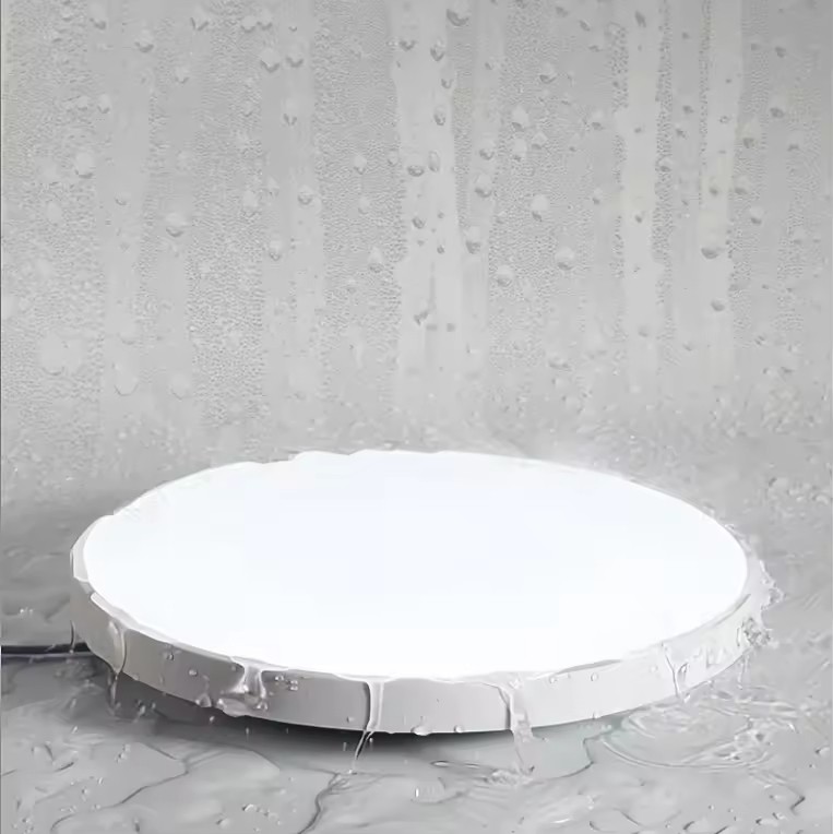 Indoor Round LED Ceiling Light for Home Kitchen Room