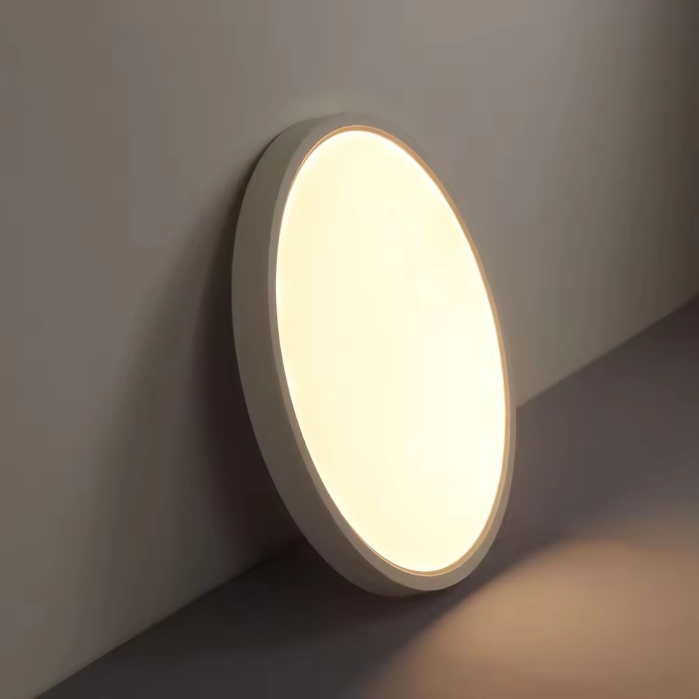 Round LED Ceiling Light