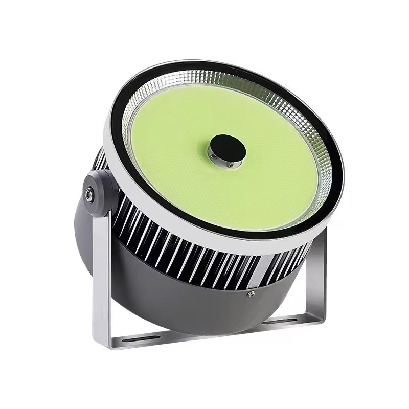 Professional IP65 Cob Fish Light