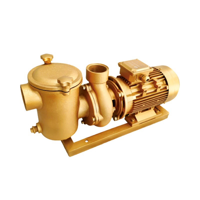 High Efficiency Filter Water Pump